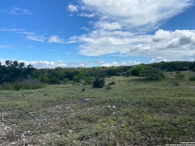 1629 Canyon Curve, Spring Branch, TX 78070 - photo 3