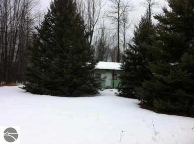 1456 S Swenson Rd, Au Gres, MI 48703 - photo 3