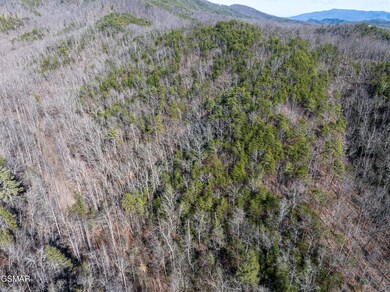 Tract 4 Wilhite Rd, Pittman Center, TN 37876 - photo 5