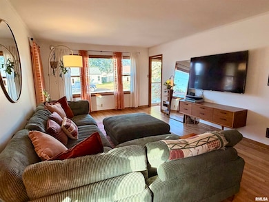 1043 14th Ave S, Clinton, IA 52732 - photo 5