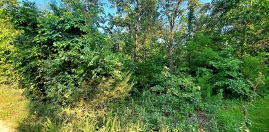 0 Tbd County Road 7240, Newburg, MO 65550 - photo 2