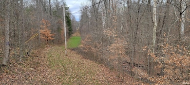 62.2 Acres Blanton Rd, Spice Valley Township, IN 47446 - photo 3