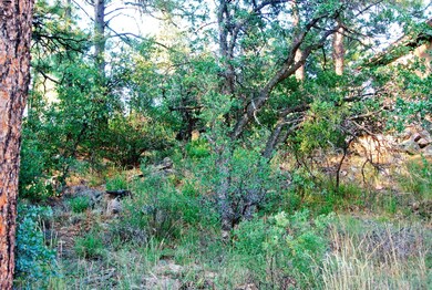 625 Aspen