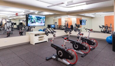 255 N Addison Ave unit 441, Elmhurst, IL 60126 - photo 6