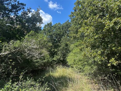 TR 1 Cr 219, Buffalo, TX 75831 - photo 6