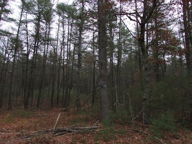 440 Pond St, Dunstable, MA 01827 - photo 3