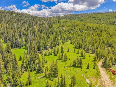 NHN Beehive Basin Rd, Big Sky, MT 59730 - photo 4
