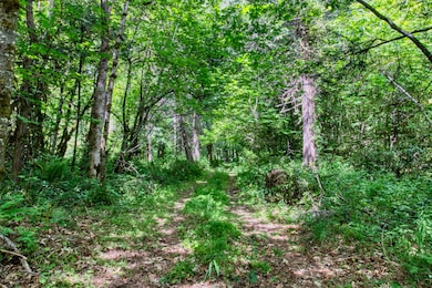 456 Garner Rd, Cave Junction, OR 97523 - photo 3