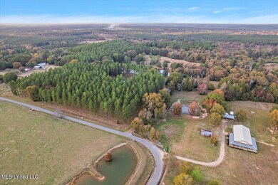 unlisted-address, Mendenhall, MS 39114 - photo 6