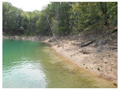 4 Oakridge Dr unit 667052, Eureka Springs, AR 72632 - photo 7