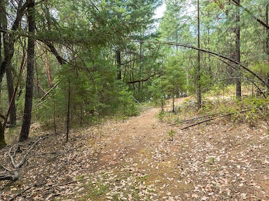 614 Thornbrook Dr, Merlin, OR 97532 - photo 3