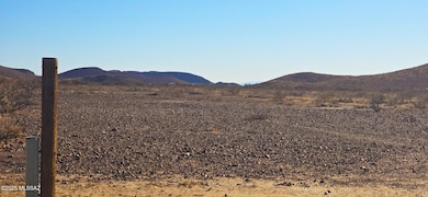 TBD 40 Acres Tyree Rd unit 118, Pearce, AZ 85625 - photo 6