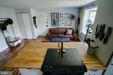 814 S Arlington Mill Dr unit 6201, Arlington, VA 22204 - photo 6