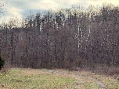 1 Polecat Hollow Rd, Waynsbrg/Frankln Township, PA 15370 - photo 4