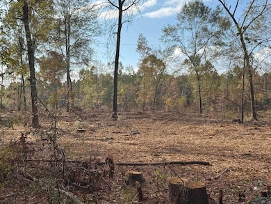 Lot 2 TBD County Road 4108, Henderson, TX 75654 - photo 2