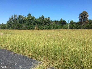 2567 Chalklevel Rd, Louisa, VA 23093 - photo 5