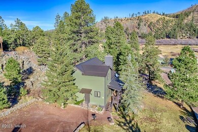 87 Main St, Greer, AZ 85927 - photo 5