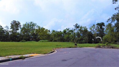 DJI_0878