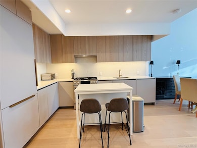 Skyline Tower unit 533, Long Island City, NY 11101 - photo 2