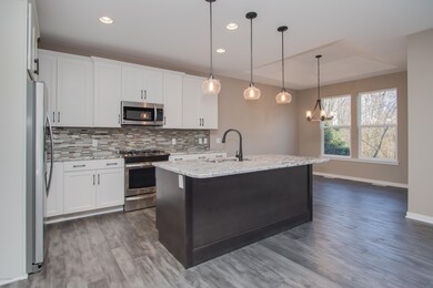 11 28 2016_WW-01-001_Dogwood_Kitchen_Gra