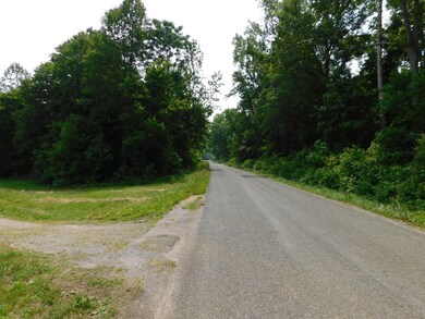 Street view right
