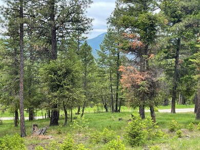 235 Highland Meadow Rd, Kila, MT 59920 - photo 2