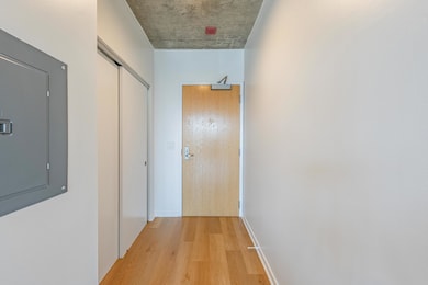 Vetro unit 2301, Chicago, IL 60607 - photo 5