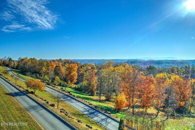 IMG_4324