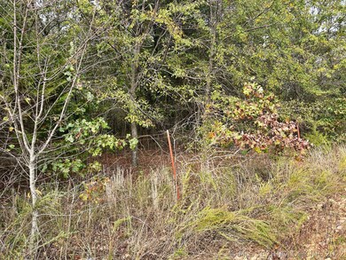 16100 W 530, Colcord, OK 74338 - photo 4