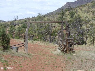 676 W Forest Dr, Payson, AZ 85541 - photo 5