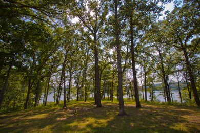 4 view of lake