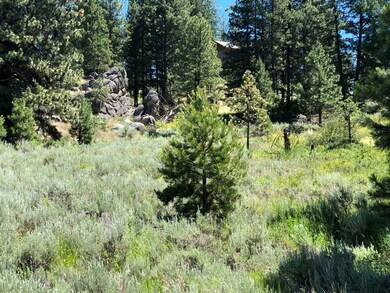 Scattered With Mature Trees, Wild Flowers & Rock O