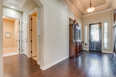 4642 Amorosa Way, San Antonio, TX 78261 - photo 4