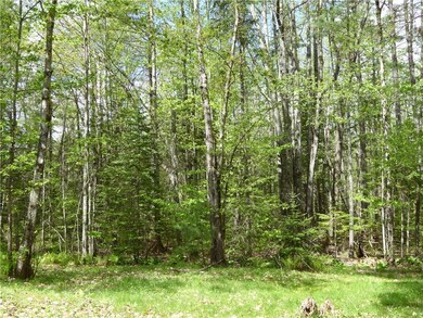 ...and the private wooded back yard