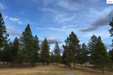 L2 Blk 1 N Williams Ln, Athol, ID 83801 - photo 5