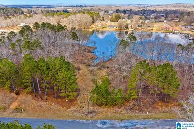 0 Castaway Rd unit Lot 101 1270975, Sylacauga, AL 35151 - photo 5