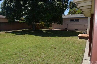 Back yard with avocado tree.