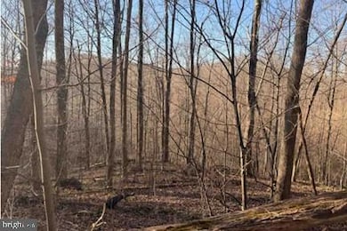 Lot 5, 34.53 Acres Lick Creek Rd, Green Sulphur Springs, WV 25976 - photo 4