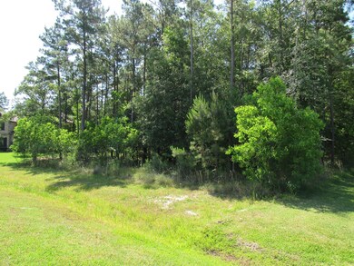 28218 Whispering Maple Way, Spring, TX 77386 - photo 3