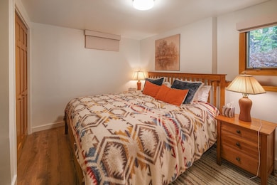 Lower level left side bedroom