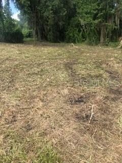 Owner has had lot partially cleared.