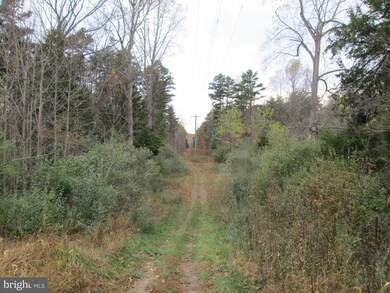 0 Scotts Mill Rd unit 1003248702, Culpeper, VA 22701 - photo 2