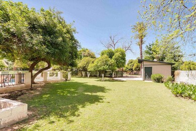 Large Irrigated Yard