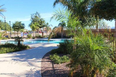 rogers ranch pool1