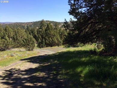 0 Adam Rd unit 18385791, Canyon City, OR 97820 - photo 2