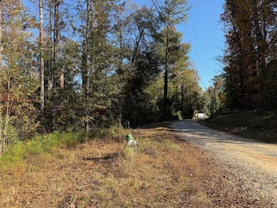 0 Apache Dr unit 1523744, Jackson, GA 30233 - photo 6