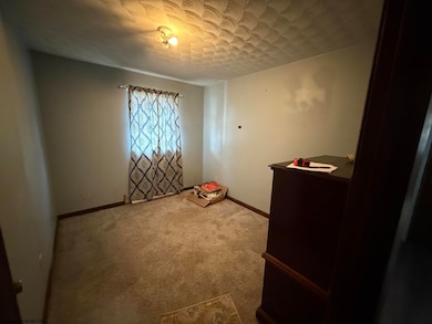 120 Kyle Subdivision Dr, Nettie, WV 26681 - photo 6