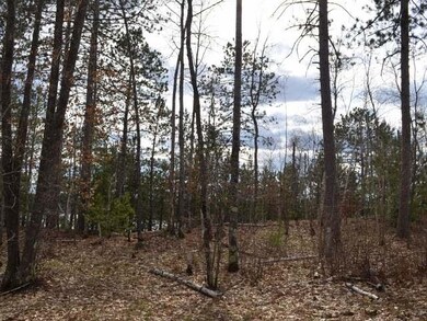 Lot 3 Forrester Rd, Tripoli, WI 54564 - photo 7