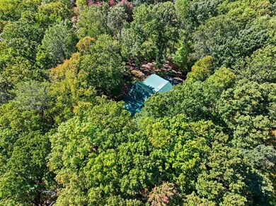 74 Sam Allen Mountain Rd, Ellijay, GA 30536 - photo 7