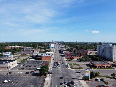 67 Pilgrim St, Highland Park, MI 48203 - photo 4